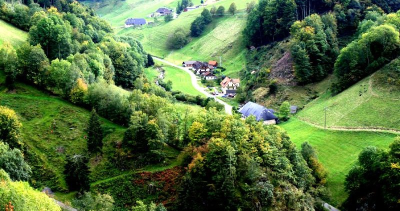 black-forest-germany