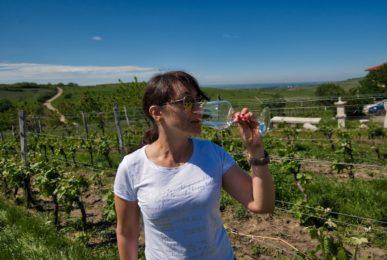 LacertA-Winery-Miha-drinking-wine